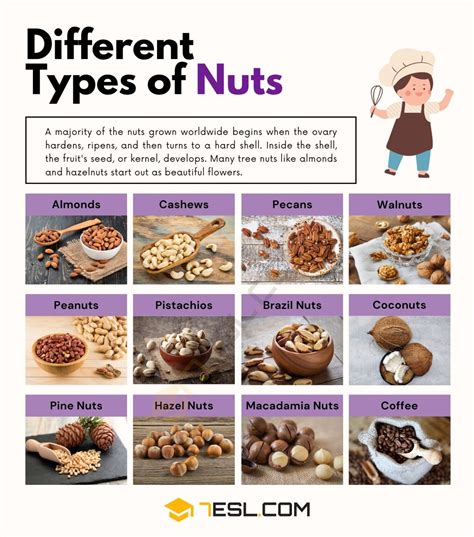 nutting inside|15 Popular Types of Nuts (Including Pictures).